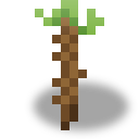 Kok-Sagyz Root