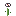 Wither Rose